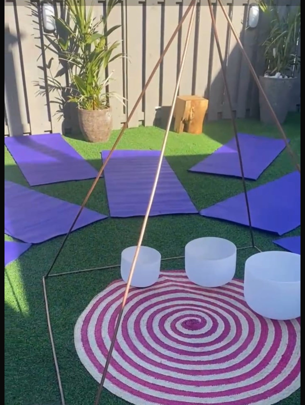 Vagus Nerve Reset & Strengthening